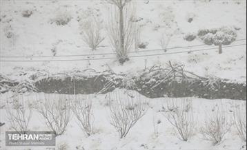 بارش برف زمستانی در تهران 10