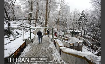 بارش برف زمستانی در تهران 7