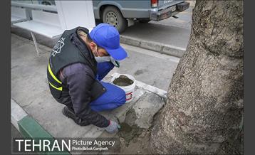 اجرای طرح استقبال از نوروز ۱۴۰۰ در منطقه 13