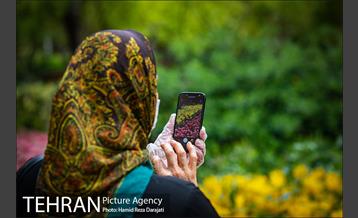 لاله های باغ ایرانی 17