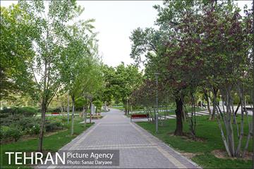 بوستان پلیس 11