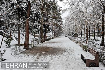 بارش برف زمستانی در تهران 14