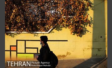 کوچه رنگی قدیانی 44