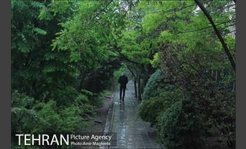 عصر بارانی تهران 2