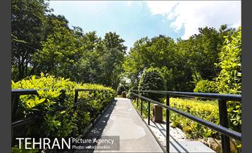 باغ ایرانی 25