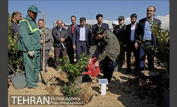 روز درختکاری در بوستان تبسم 4