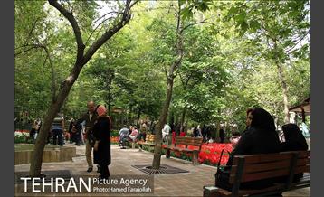 لاله های بهاری بوستان مختاری 8