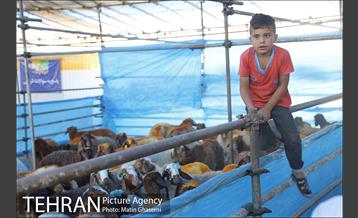 بازدید اصحاب رسانه از مراکز عرضه بهداشتی دام  10