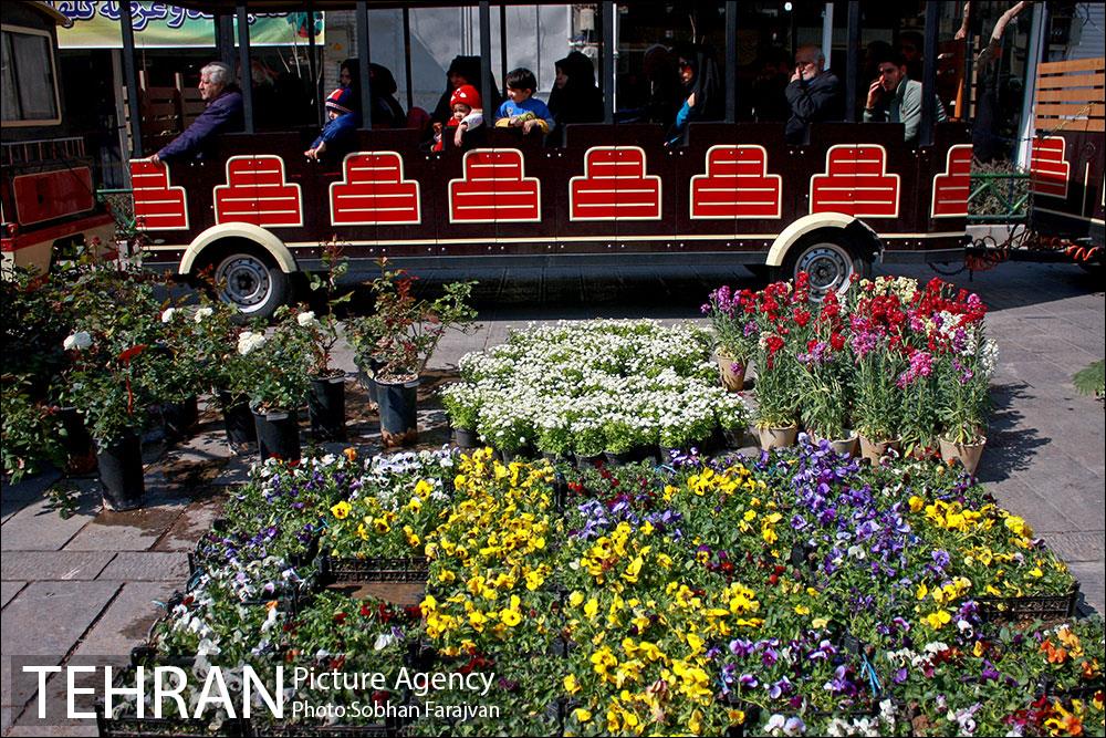 نمایشگاه گل و گیاه نوروزی در پیاده راه ۱۷ شهریور