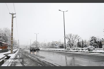صبح آدینه برفی  24