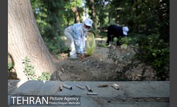 طرح پاکسازی پارک شهر تهران از فیلترهای سیگار  28