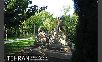 بوستان هنرمندان (ایرانشهر) 22