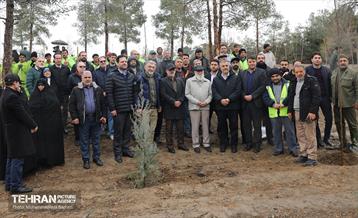 آغاز کاشت ۲۵ هزار اصله نهال غیرمثمر در بوستان چیتگر 20