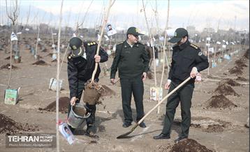 کاشت ۲۴۰۰۰ نهال به یاد شهدای پایتخت 4