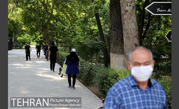 طرح پاکسازی پارک شهر تهران از فیلترهای سیگار  18