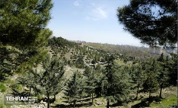 روز طبیعت در منطقه ۵ 45