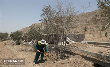 اینجا کارگاهه؛ پروژه بام ری 13