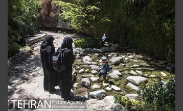 بوستان نهج البلاغه 7