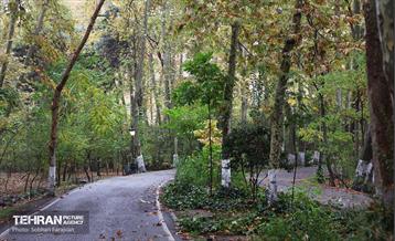 طبیعت پاییزی مجموعه فرهنگی تاریخی سعدآباد  31