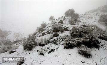 بارش برف زمستانی در تهران 28