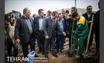 آئین کاشت نهال در بوستان جنگلی سرخه حصار 12