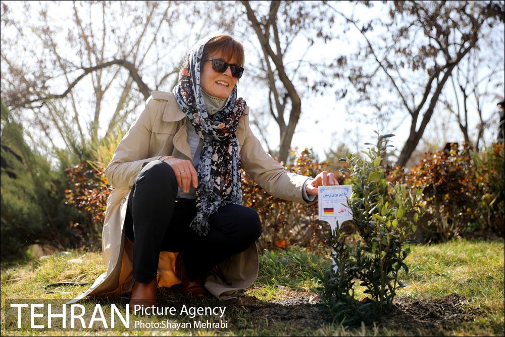 آیین کاشت نهال دوستی با حضور همسران دیپلمات مقیم ایران 28