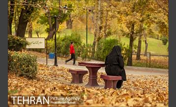 پاییز زیبای پایتخت 4