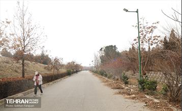 به وقت خدمت؛ مسیر زندگی 18