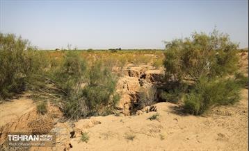 مهار زلزله خاموش 23