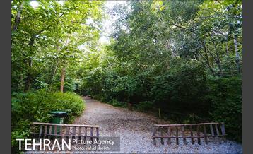 باغ گیاه شناسی ملی ایران  38