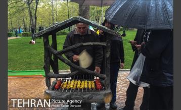 روز طبیعت بارانی در بوستان ملت 16