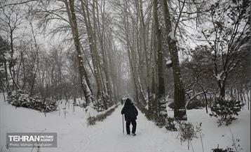 روز برفی تهران - 2 13