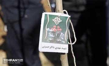 آیین کاشت 1310 نهال در منطقه 5 10