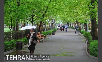 باران بهاری در تهران - 2 14