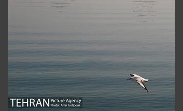 پاییز دریاچه شهدای خلیج فارس 7