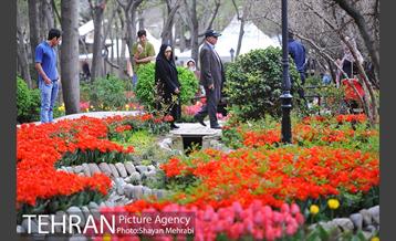 روش گل های لاله در باغ ایرانی 7