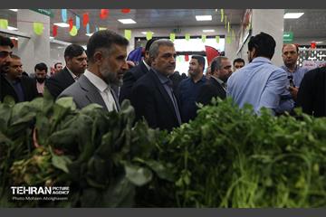 افتتاح ۶ بازار میوه‌ و تره‌بار 51