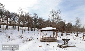 روز برفی در منطقه 13 15