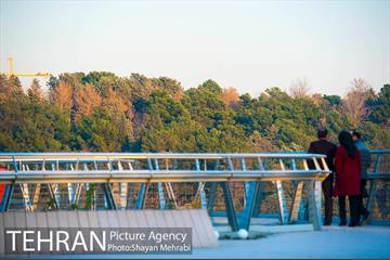پاییز پل طبیعت 29