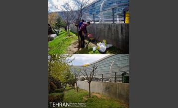 ملت بی ملت 15