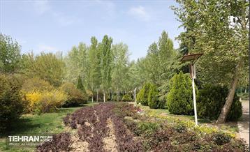 بوستان بانوان نرگس 40