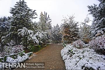 بارش برف پاییزی در بوستان طالقانی 6