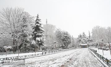 صبح برفی بوستان ملت 25