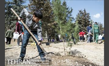 مراسم درختکاری مرکز مدیریت محیط زیست و توسعه پایدار 27