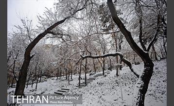 بارش برف زمستانی در تهران 35