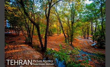 بوستان جنگلی چیتگر 40