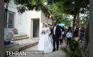 جشن ازدواج دو کارتن خواب بهبود یافته 5