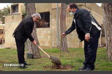 کاشت درخت توسط هنرمندان در فرهنگسرای نیاوران 8