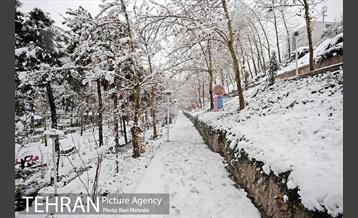بارش برف زمستانی در تهران 10