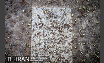 گورستانی به قدمت تاریخ 12